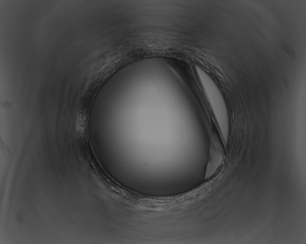 X0000090480033200708031134