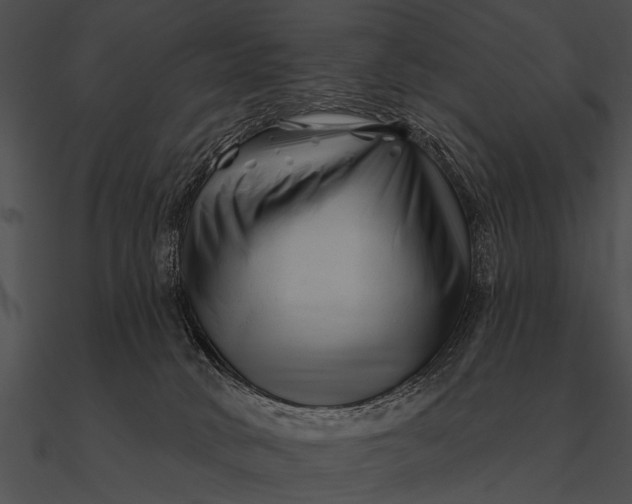 X0000090480034200708031134