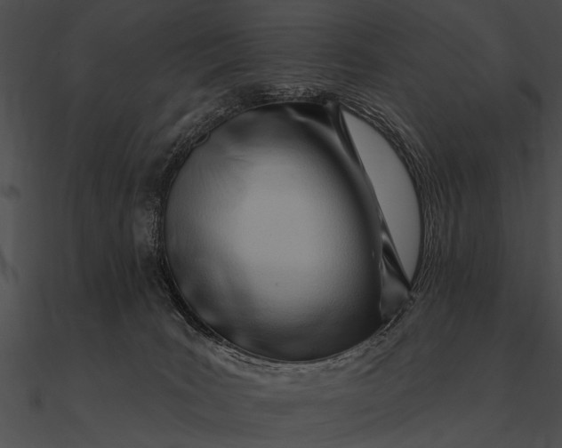 X0000090480035200708031134