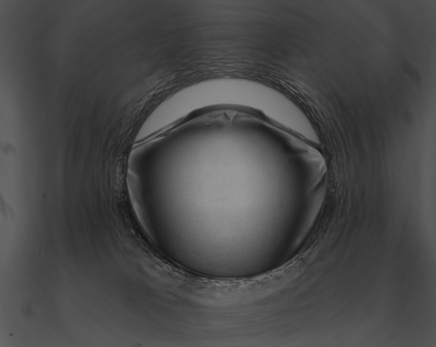 X0000090480037200708031134