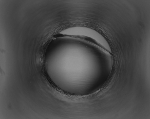 X0000090480040200708031134