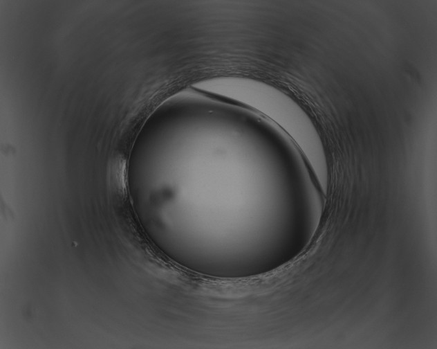 X0000090480041200708031134