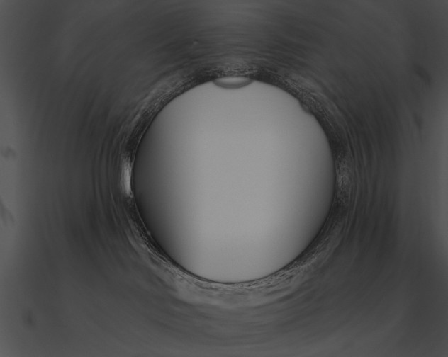 X0000090480046200708031134