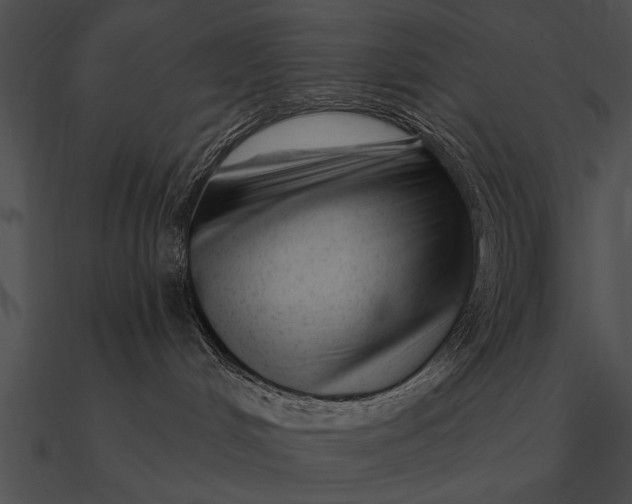 X0000090480048200708031134