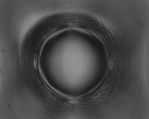 X0000090480052200708031133