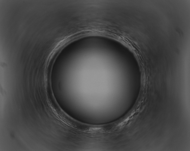 X0000090480055200708031133