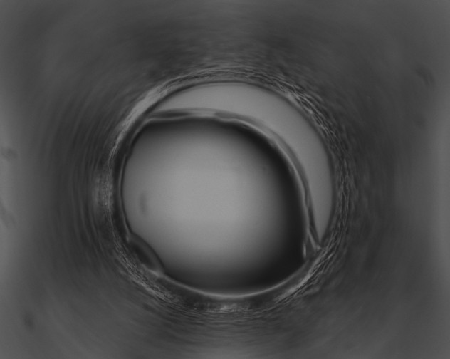 X0000090480056200708031133
