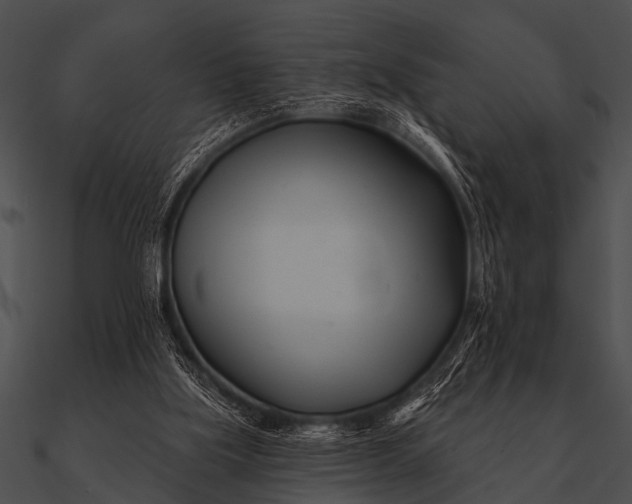 X0000090480059200708031133