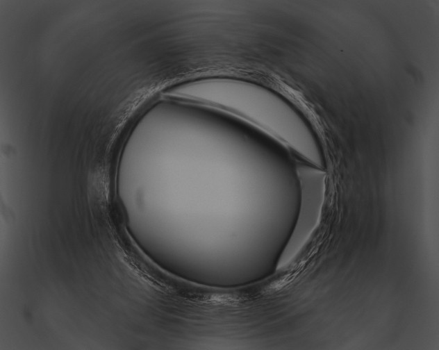 X0000090480060200708031133