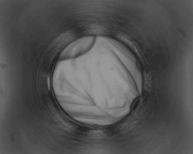 X0000090480061200708031133