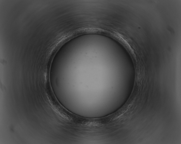 X0000090480063200708031134