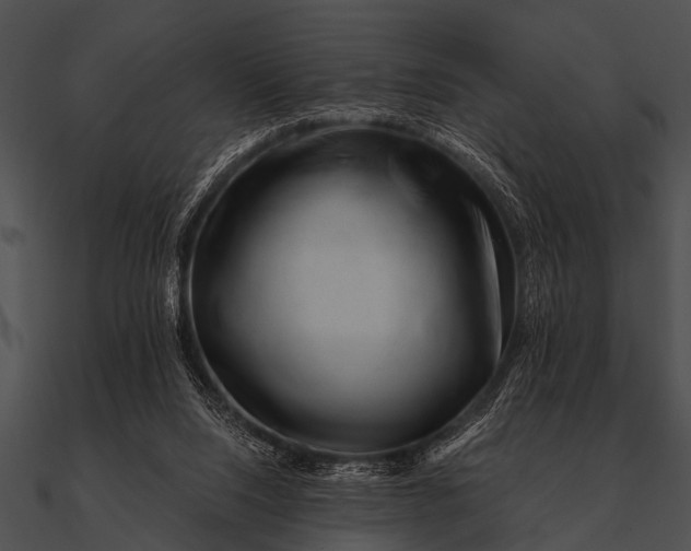 X0000090480064200708031134