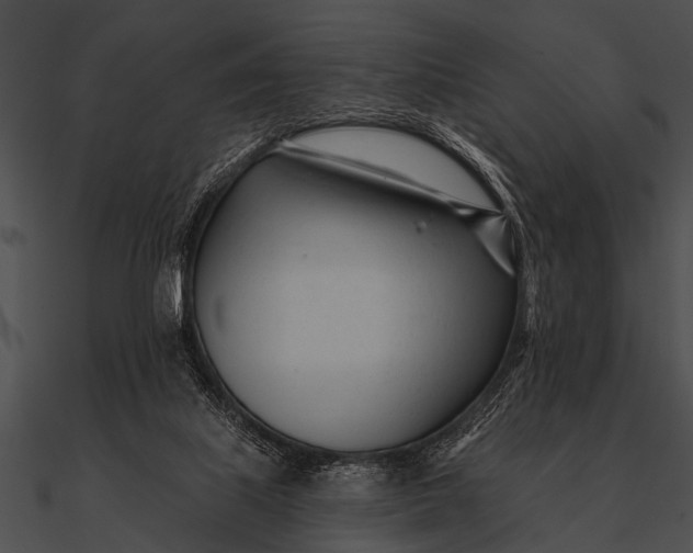 X0000090480067200708031134