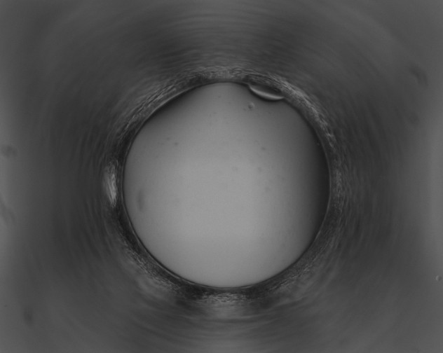X0000090480069200708031134