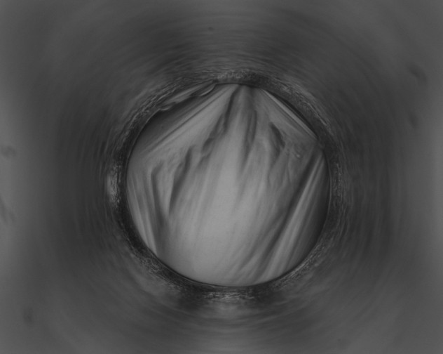 X0000090480074200708031134