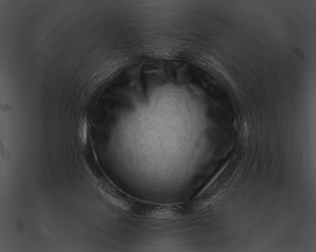 X0000090480076200708031134