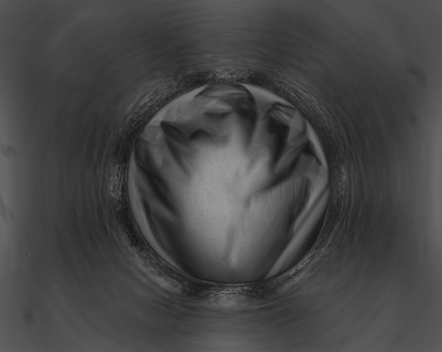 X0000090480078200708031134