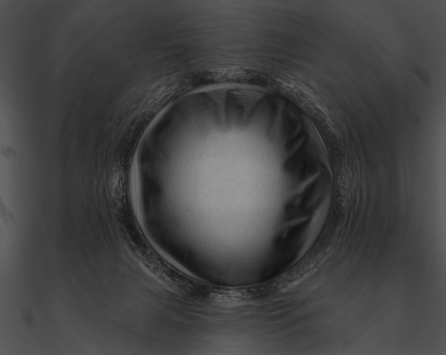 X0000090480079200708031134