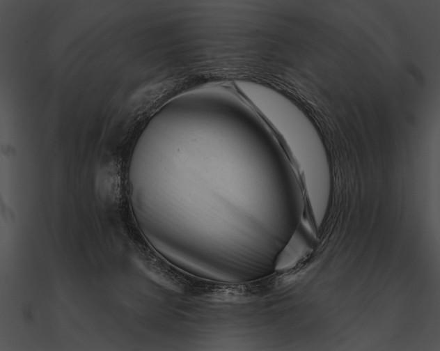 X0000090480080200708031134