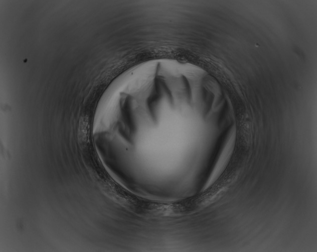 X0000090480083200708031134