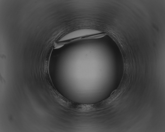 X0000090480093200708031134