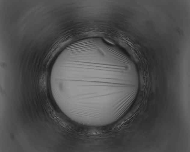X0000090480098200708031133