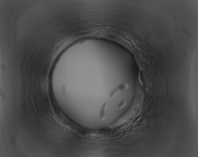 X0000090480100200708031133