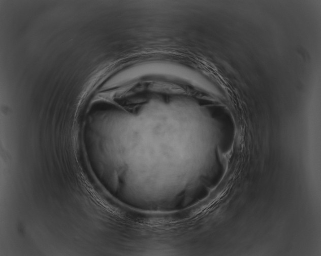 X0000090480101200708031133
