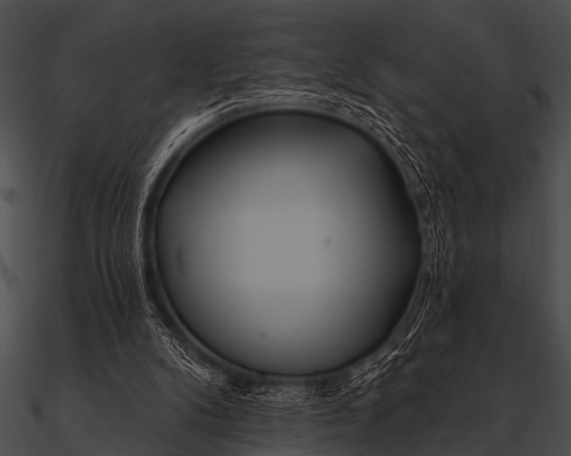 X0000090480104200708031133