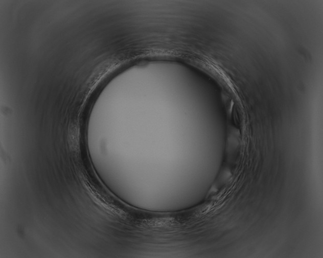 X0000090480108200708031133