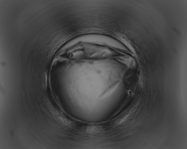 X0000090480109200708031133