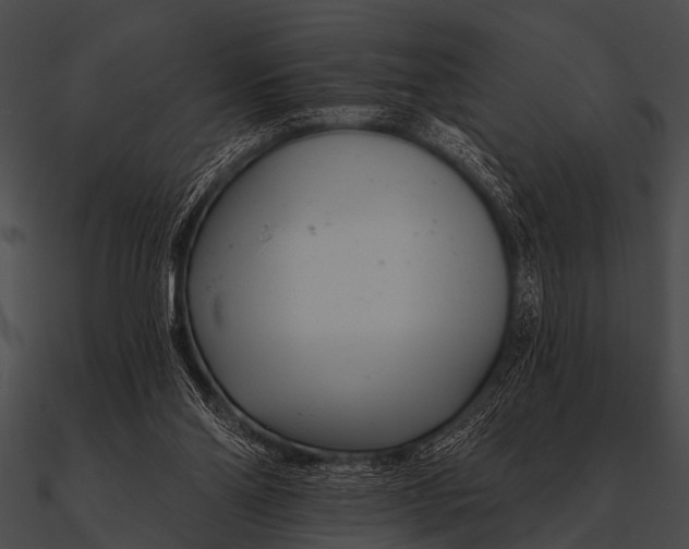 X0000090480110200708031133