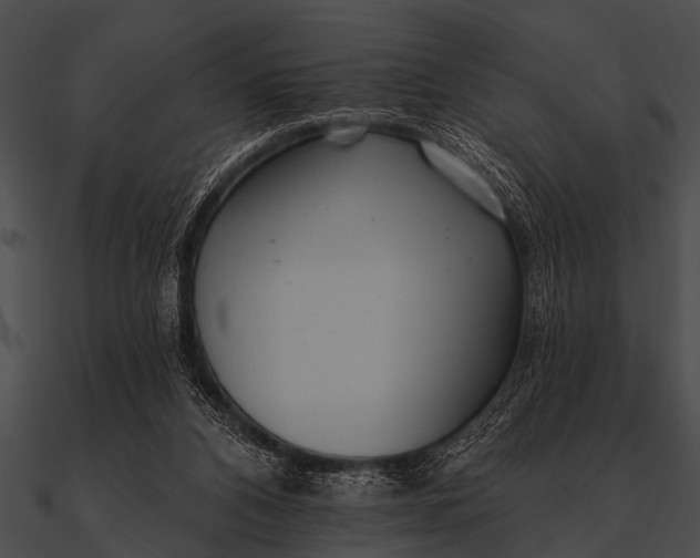 X0000090480112200708031133