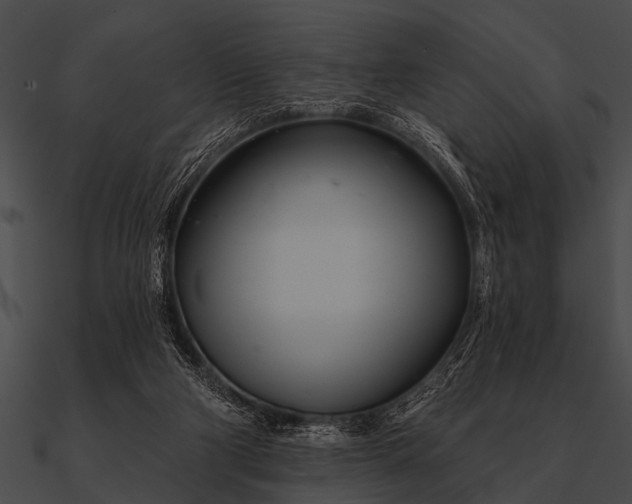 X0000090480114200708031133