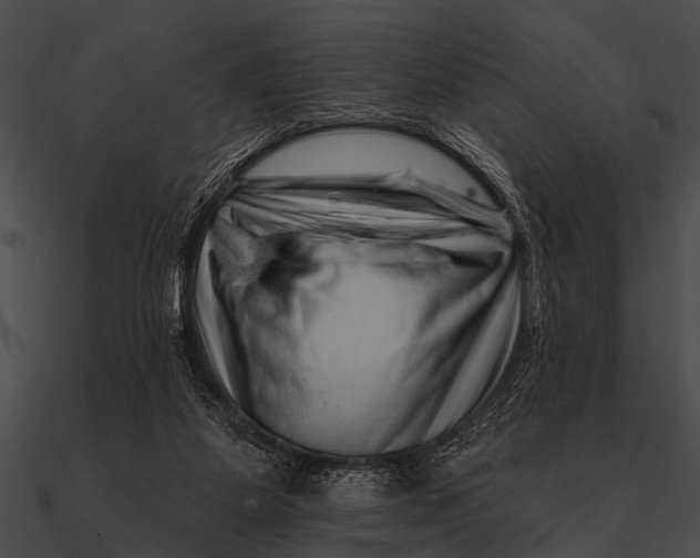 X0000090480115200708031133