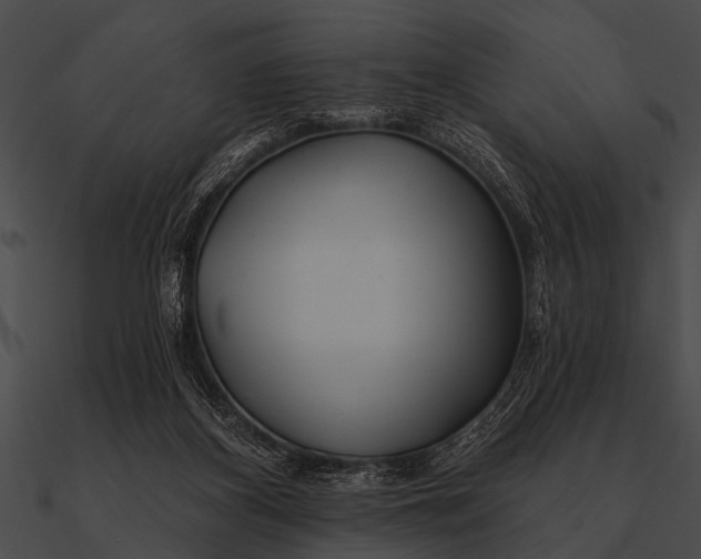 X0000090480116200708031133