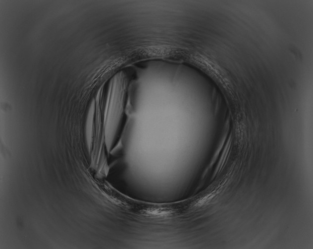 X0000090480117200708031133