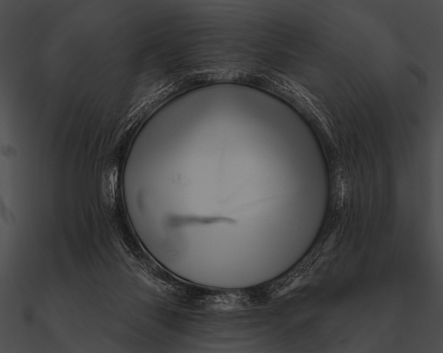 X0000090480118200708031133