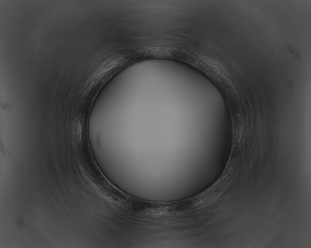 X0000090480120200708031133