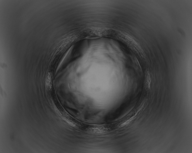 X0000090480121200708031133