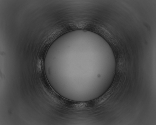 X0000090480122200708031133