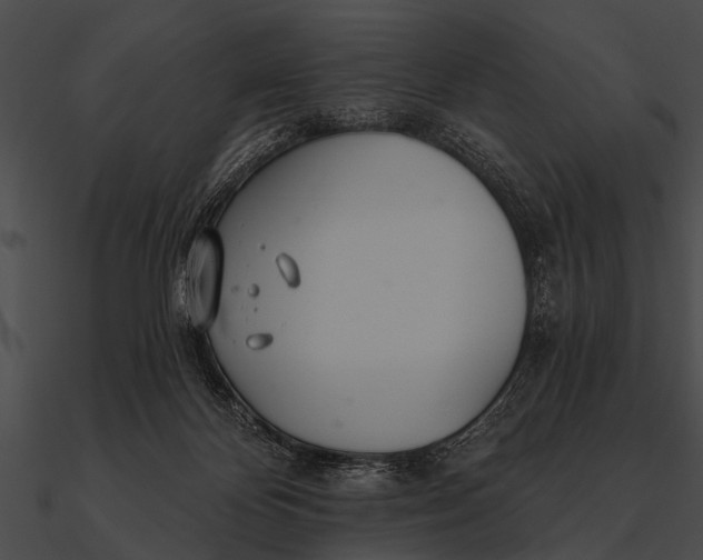 X0000090480124200708031133