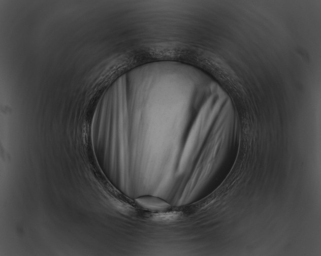 X0000090480125200708031133