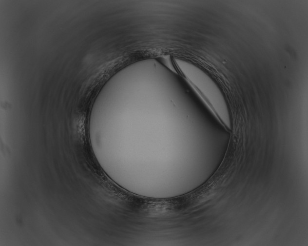 X0000090480127200708031133