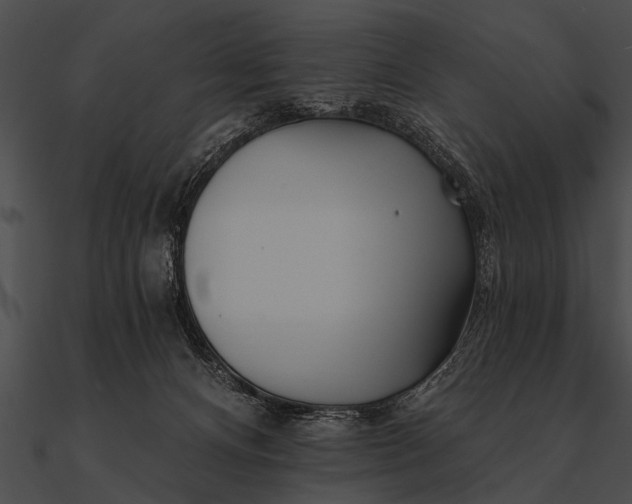 X0000090480128200708031133