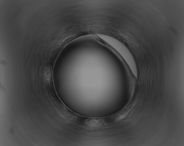 X0000090480129200708031133