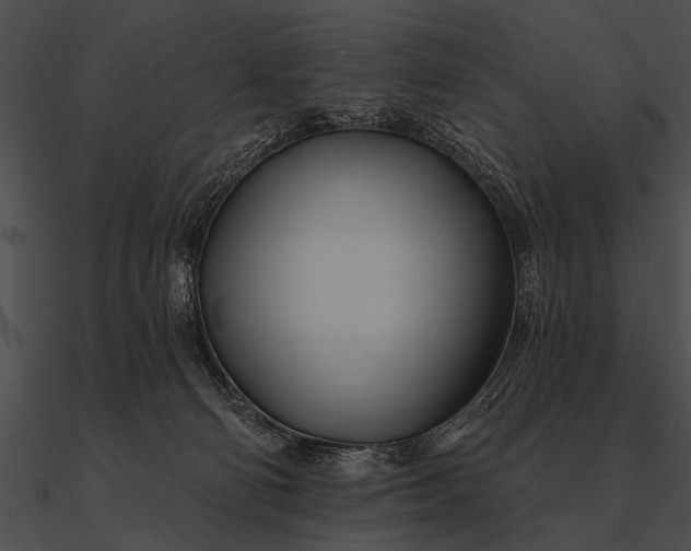 X0000090480130200708031133