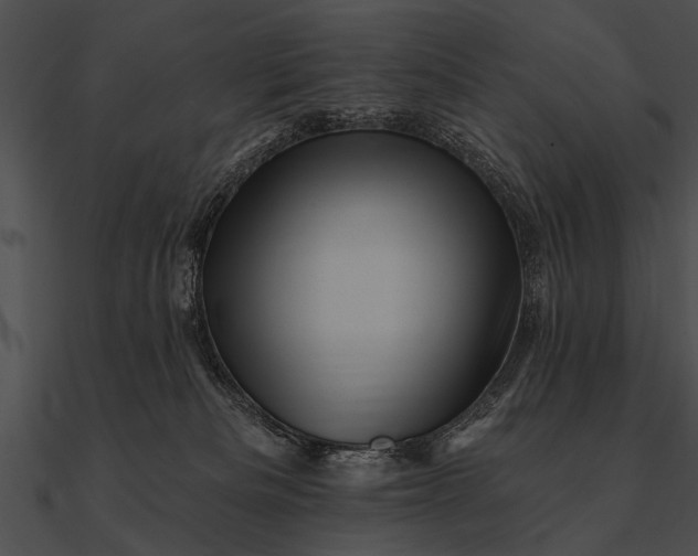 X0000090480133200708031133