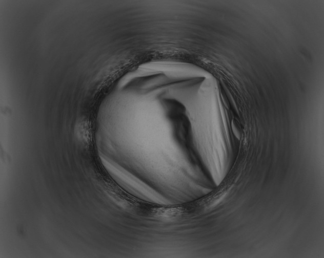 X0000090480135200708031133