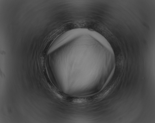 X0000090480139200708031132